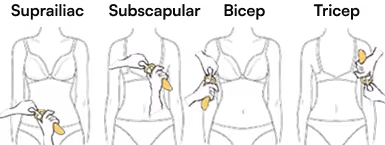 Illustrations showing how to measure a women’s waist, chest, hip, and arm circumference with a measuring tape.